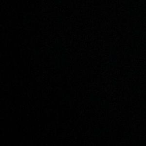 Meet your Posher, Gus